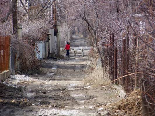 � ����� ������ ��� �������