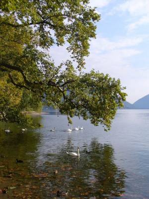 Lago Lugano