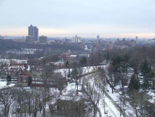NY winter 