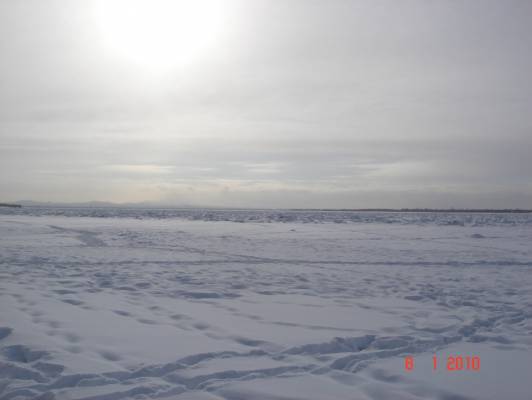  08.01.2010