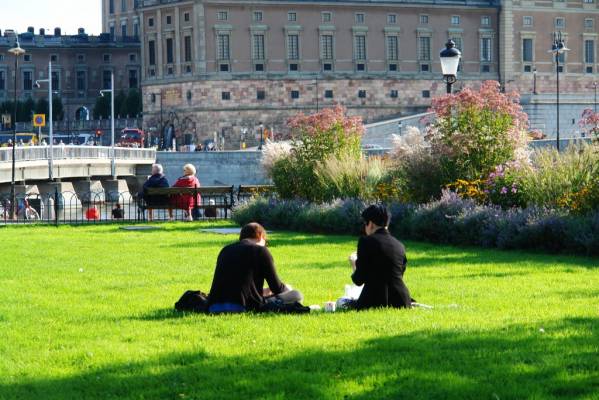 and follow Swedes on thr relaxed sunday..
