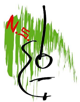 Logo N_Spring