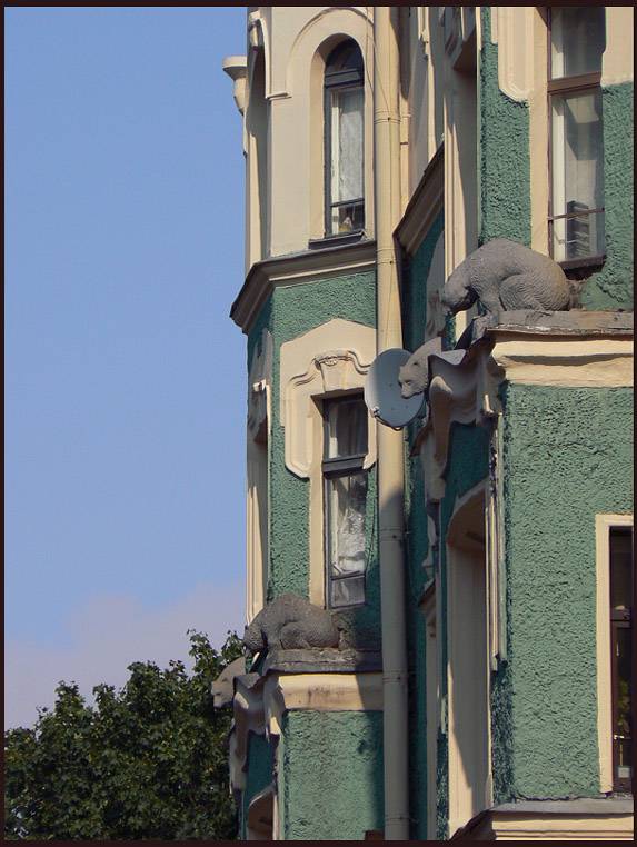 bears