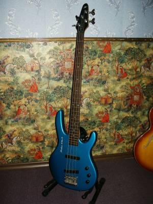 ���� ������