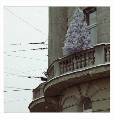 Outside Fir
