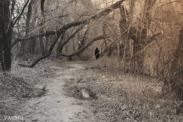 ���-�� ���