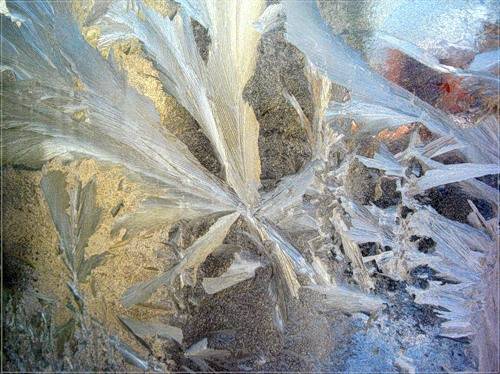 ������ �����