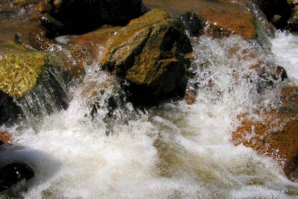 ������ ����