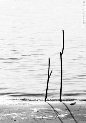 ���������