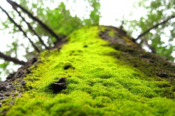 ������ � ����...