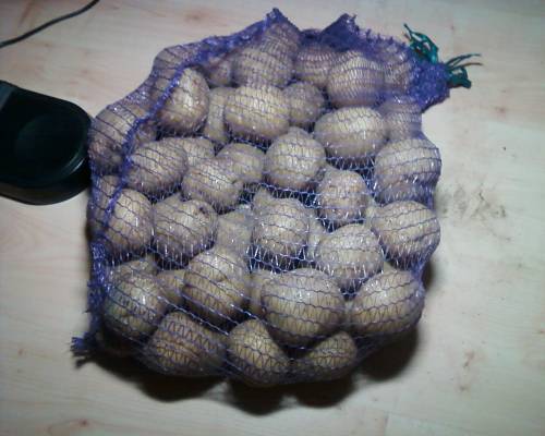 ��������� ���� �������