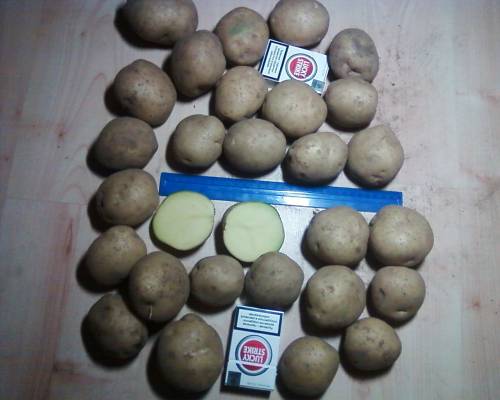 ��������� ���� �������