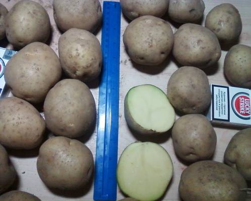 ��������� ���� �������