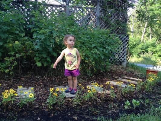 Lady bug! (..  ,     - lady bugs:))