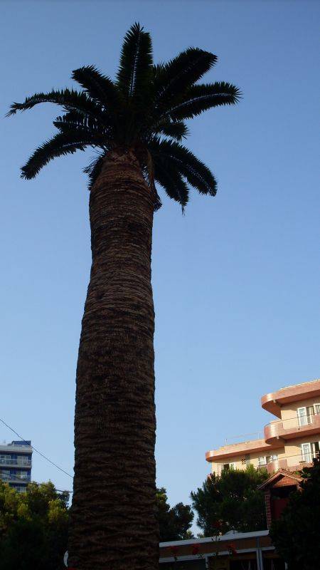 �����-������ -����� 1