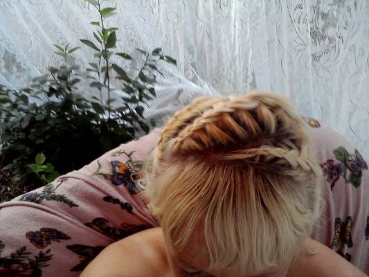 ���� �� �������