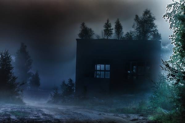 ....�����....