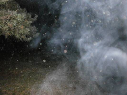 ������ ���