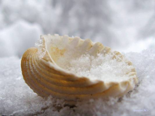 �������� � ����